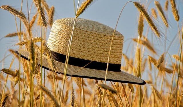 Seasonal Summer Conditions to Prevail Through Saturday – The Jordan News Agency – وكالة الانباء الاردنية
