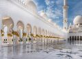 Abu Dhabi court orders driver to pay company Dhs89,080 for negligence – Gulf Today