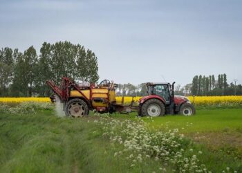 Egypt eyes major agriculture and logistics projects in Tanzania – Latest news from Azerbaijan