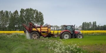 Egypt eyes major agriculture and logistics projects in Tanzania – Latest news from Azerbaijan