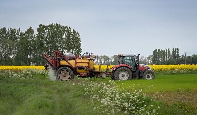 Egypt eyes major agriculture and logistics projects in Tanzania – Latest news from Azerbaijan