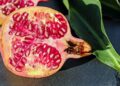 Opinion | This Is Why Our Fresh Produce Keeps Making Us Sick – The New York Times