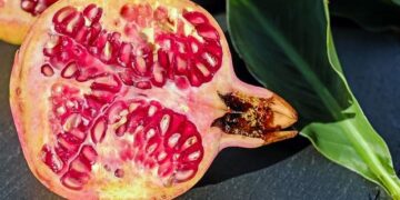 Opinion | This Is Why Our Fresh Produce Keeps Making Us Sick – The New York Times