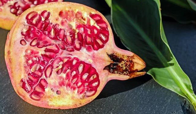 Opinion | This Is Why Our Fresh Produce Keeps Making Us Sick – The New York Times