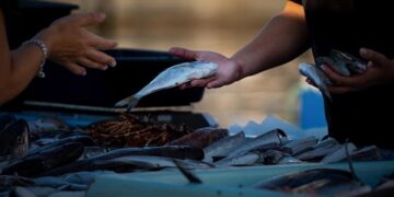 Inside Yangon’s fish markets, survival amid Myanmar’s five-year civil war – Malay Mail