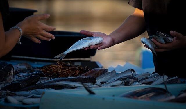 Inside Yangon’s fish markets, survival amid Myanmar’s five-year civil war – Malay Mail