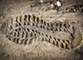Sole survivor of Air India crash still seeks answers – BBC