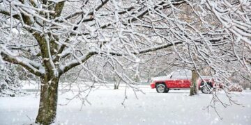 200 Hydrogen Trucks Delivered to Zhengzhou, China – Fuel Cells Works