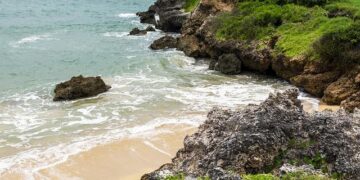 Celebi Is Leaving Tanzania After Its Dar Es Salaam Deal Ends – Finimize